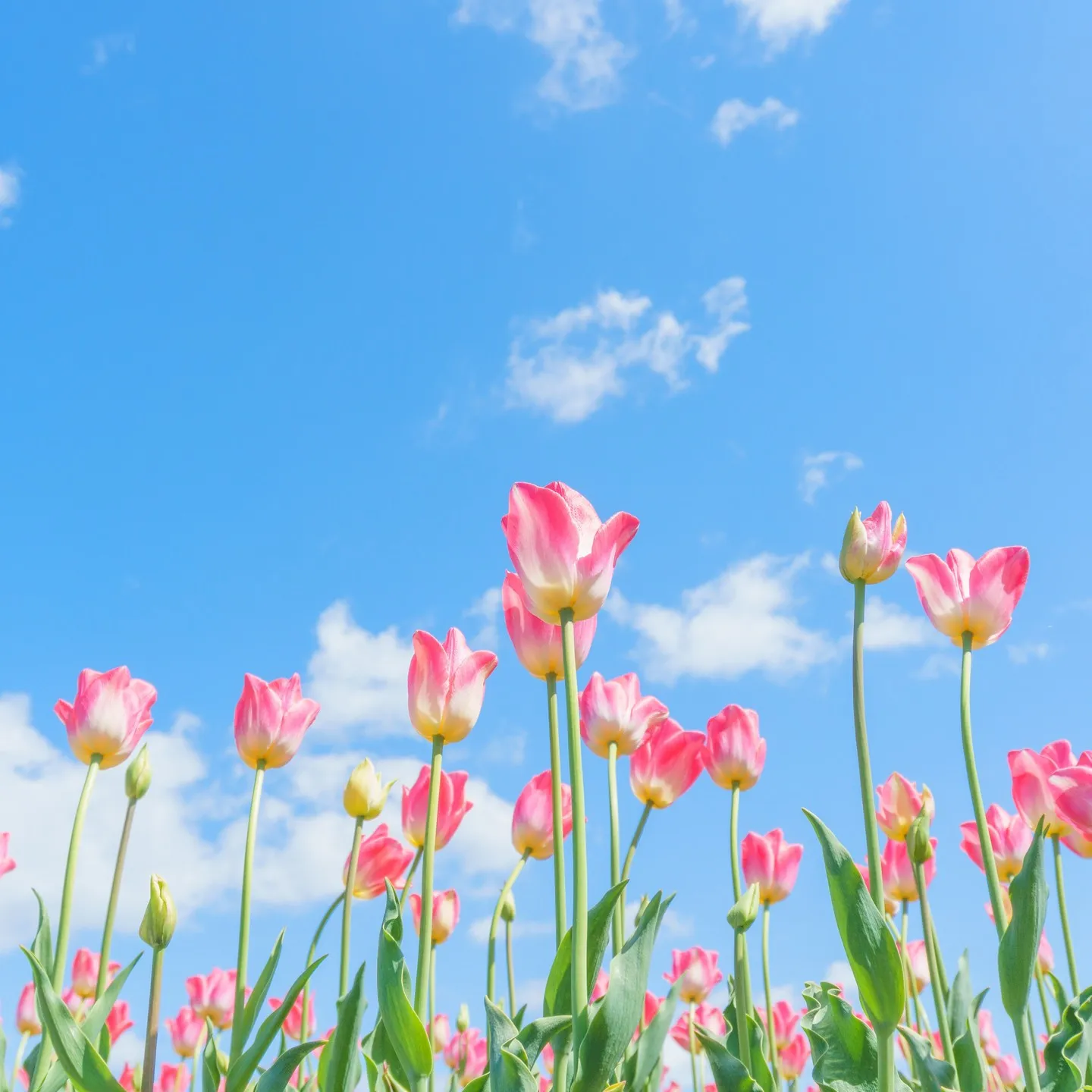 セミナー案内を今後掲載してまいります!